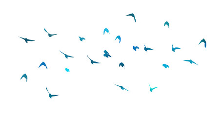 A flock of blue watercolor flying birds. hand drawing. Not AI, Free birds abstraction Vector illustration