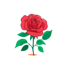 Fototapeta premium red rose isolated on white background
