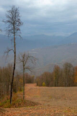 Roza Khutor, Russia. Panorama of Sochi in the Krasnaya Polyana area. Mountain landscape. Nature of Kaukaz mountain.