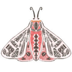 Illustration of cute butterfly showing her beutiful wings pattern. Perfect for education for kids in kindergater and elementry school, etc.