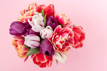 A bouquet of colorful bright tulips of different varieties on a pink background. Top view