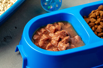 Plastic pet bowl with food on gray background
