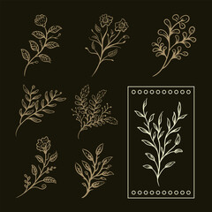 Floral Ornament Flowers Collection Vector Illustration