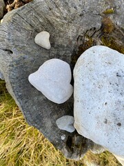 stone in the garden, heart shape - 716302279