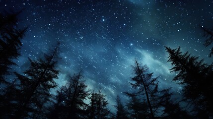 Naklejka premium view of the Calm Night Sky