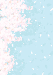 ふわふわした桜と青空