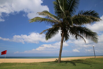 chilaw beach Sri Lanka