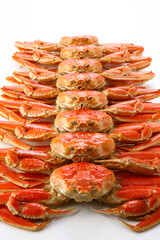 たくさん並べたボイルズワイガニ　白背景