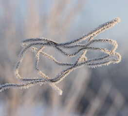 accumulations of snow drizzle on a metal wire.