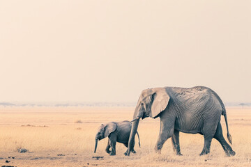 An elephant with her cub, mother love and care in wildlife scene