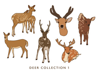 Naklejka na ściany i meble Deer Vector Illustration in Color! - Collection 1