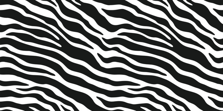 Zebra skin, stripes pattern. Animal print, black and white detailed and realistic texture. Monochrome seamless background. Vector illustration
