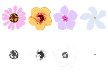 A Set of Colourful and Black and White Flowers for Pattern Illustration with Dry Brush
