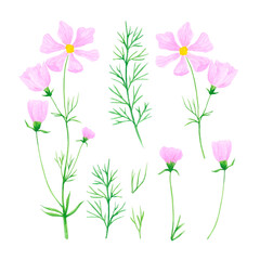 Obraz na płótnie Canvas Hand drawn watercolor wildflowers isolated on white background. Can be used for cards, label, poster and other printed products.