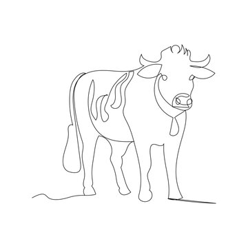recommend clip art: Cow  continuous one line drawing outline vector illustration