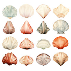 Clipart Bundle Watercolor Shells, on Transparent Background