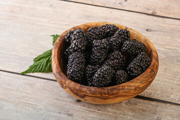Natural organic blackberry in the bowl