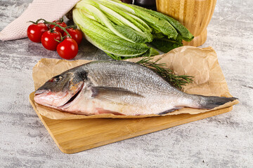 Raw dorada fish served rosemary