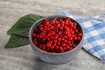 Ripe sweet wild organic cowberry
