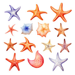 Clipart Bundle Watercolor Star fish, on Transparent Background 