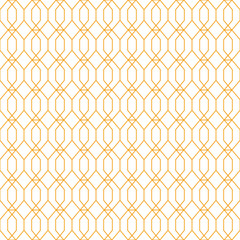 Luxury Geometric Ornamental Fashion Pattern Texture Background VECTOR
