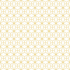 Luxury Geometric Ornamental Fashion Pattern Texture Background VECTOR