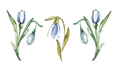 A set of bouquets of delicate snowdrops for your design. Bouquet of open flower and bud. Hand drawn watercolor illustration of the first spring flowers on a white background.