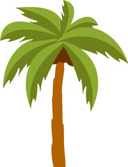 Coconut Tree Illustration 