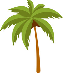 Coconut Tree Illustration 