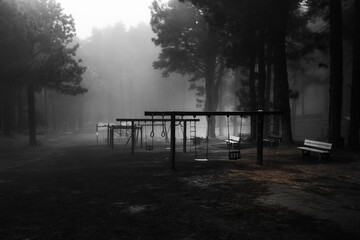 Empty swing on a playground in a foggy forest on the island of La Palma (Spain)