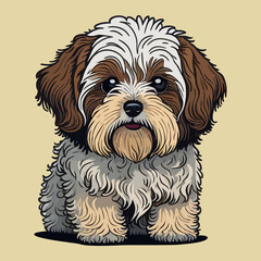 Havanese dog illustration isolated on a plain background.