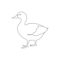Duck continuous one line drawing  outline vector illustration
