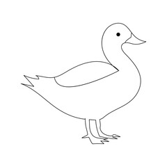 Duck continuous one line drawing  outline vector illustration
