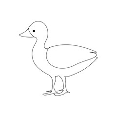 Duck continuous one line drawing  outline vector illustration
