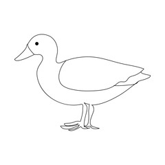 Duck continuous one line drawing  outline vector illustration
