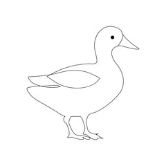 Duck continuous one line drawing  outline vector illustration
