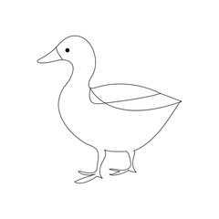 Duck continuous one line drawing  outline vector illustration
