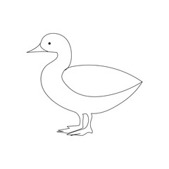 Duck continuous one line drawing  outline vector illustration
