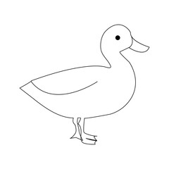 Duck continuous one line drawing  outline vector illustration
