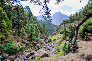 Hiking routes in the national park 