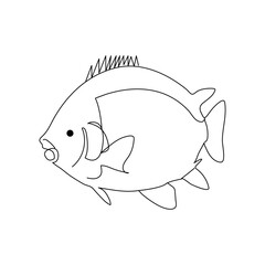 Fish continuous one line drawing  outline vector illustration