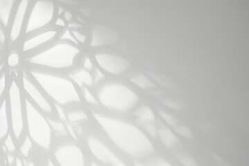 Arabesque shadow, you can use it as overlay layer on any photo. - obrazy, fototapety, plakaty