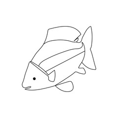 Fish continuous one line drawing  outline vector illustration