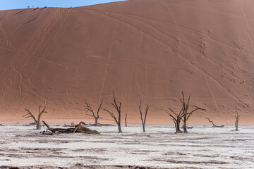 dead Camelhorn trees and big dunes at Deadlvei pan, Naukluft desert,  Namibia