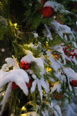Branches of a Christmas tree decorated with red balls and garlands and sprinkled with snow.