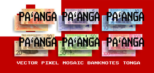 Vector set of pixel mosaic banknotes of Tonga. Collection of notes in denominations of 2, 5, 10, 20, 50 and 100 pa'anga. Obverse and reverse. Play money or flyers. - obrazy, fototapety, plakaty