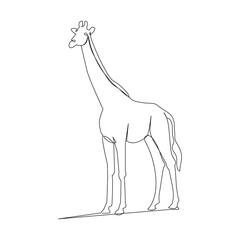 Giraffe continuous one line drawing outline vector illustration