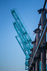 Fototapeta na wymiar crane on the site