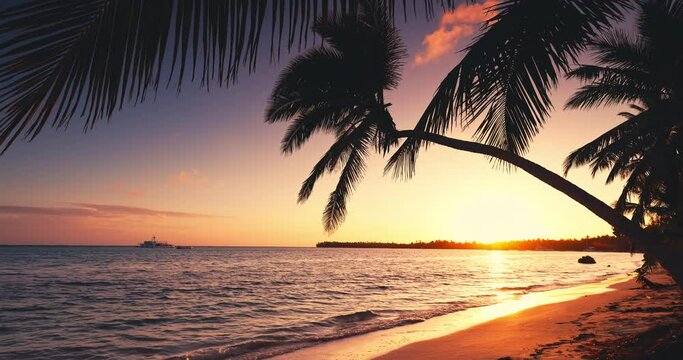 Exotic beach with palm trees of tropical caribbean island at sunset