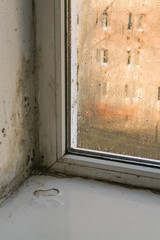 Mold or fungus on the wall near the window.